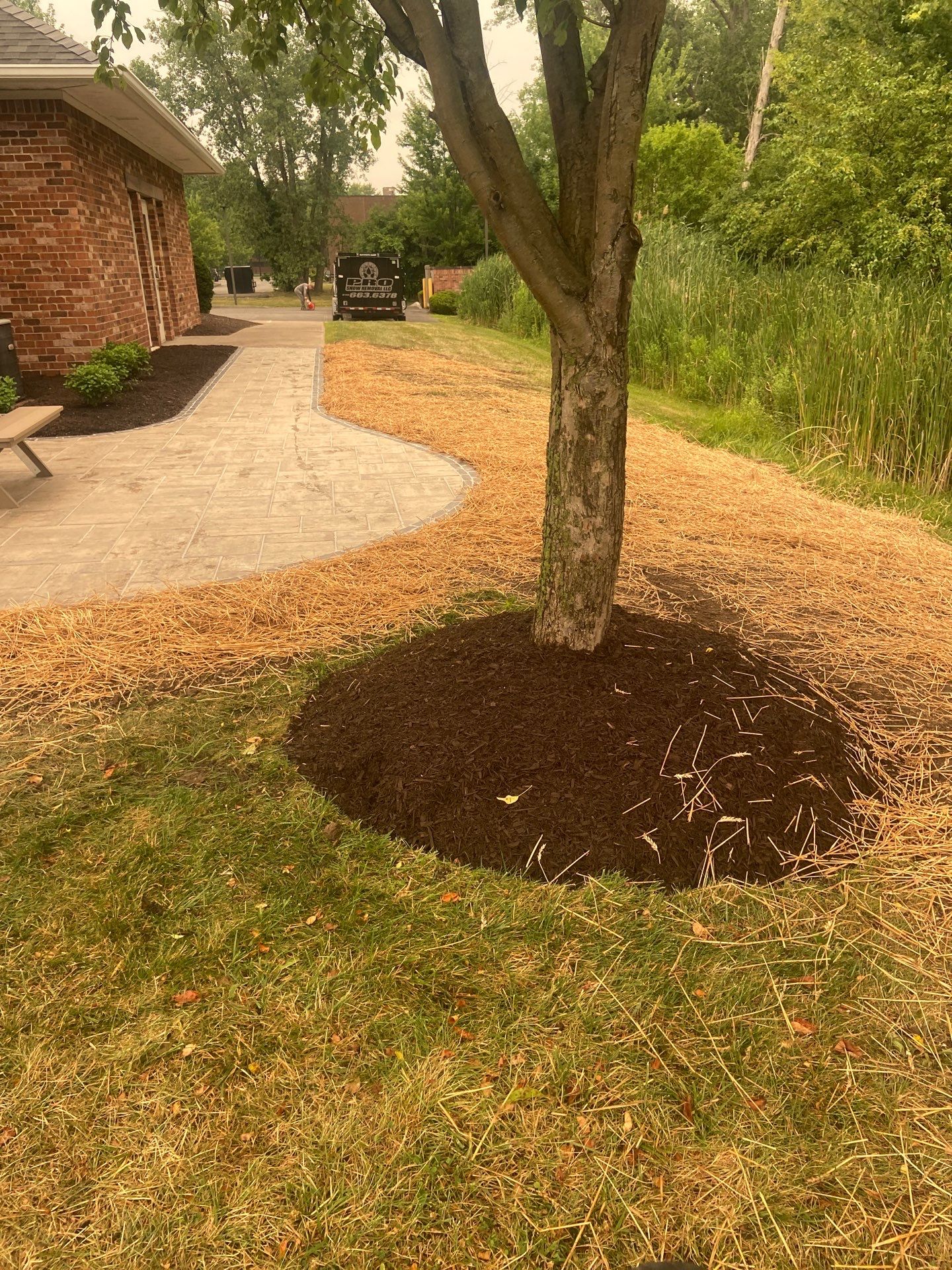 Wladis Lawn Project in East Syracuse, NY by Pro Snow Removal
