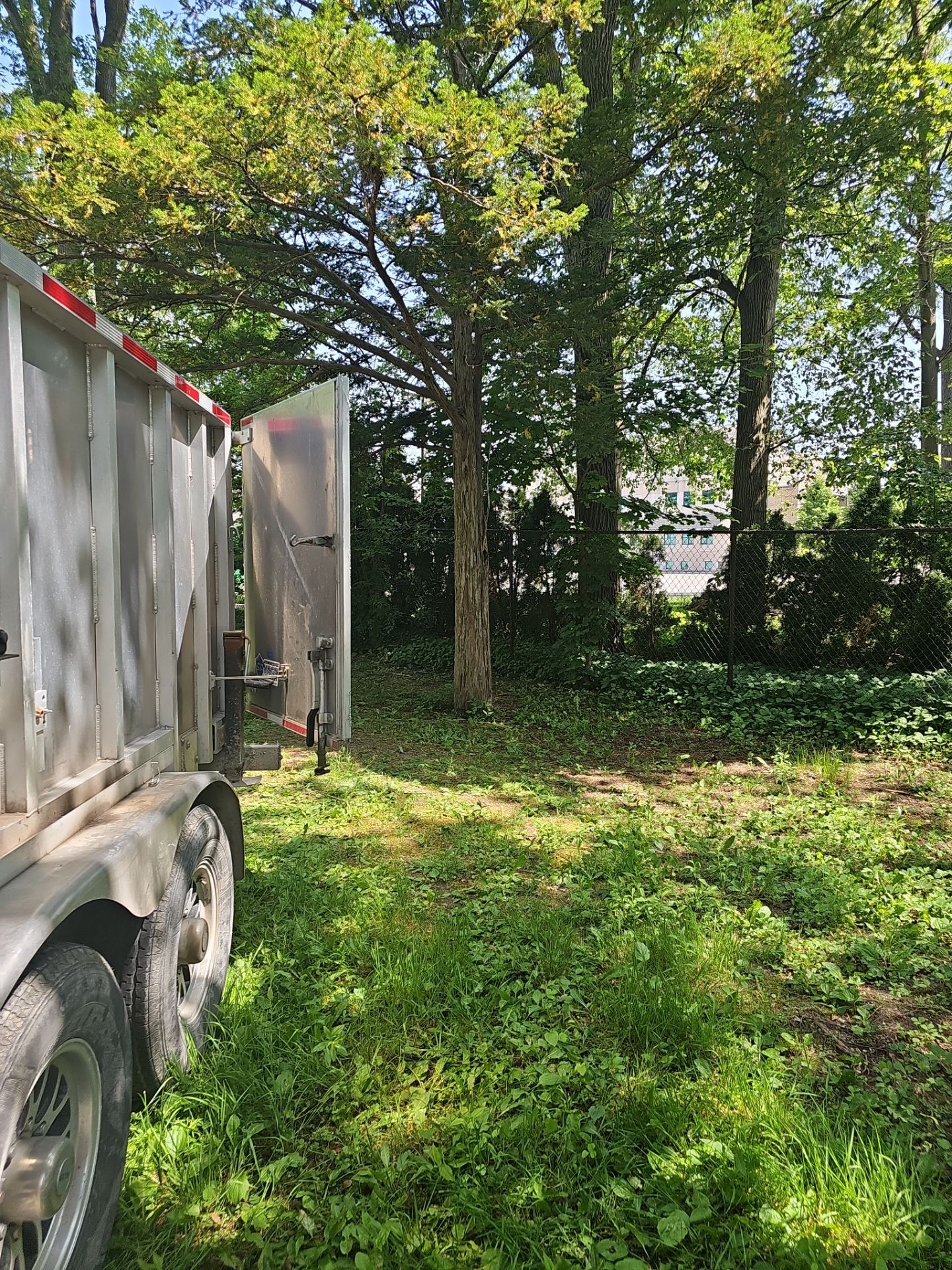 Junk Removal In University of London by Restoration/Cleaning/inspection/Junk