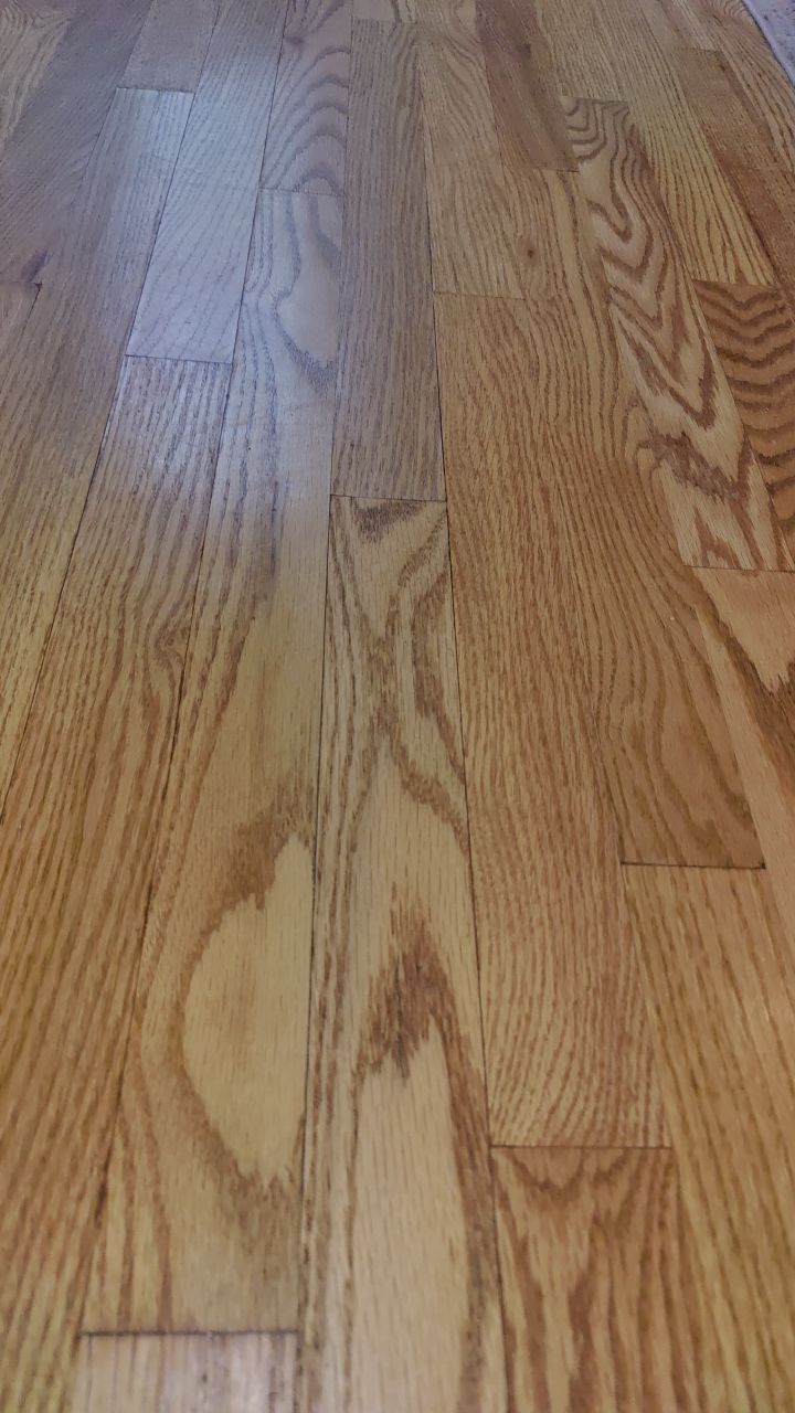 Water Damage by Accountable Home Services