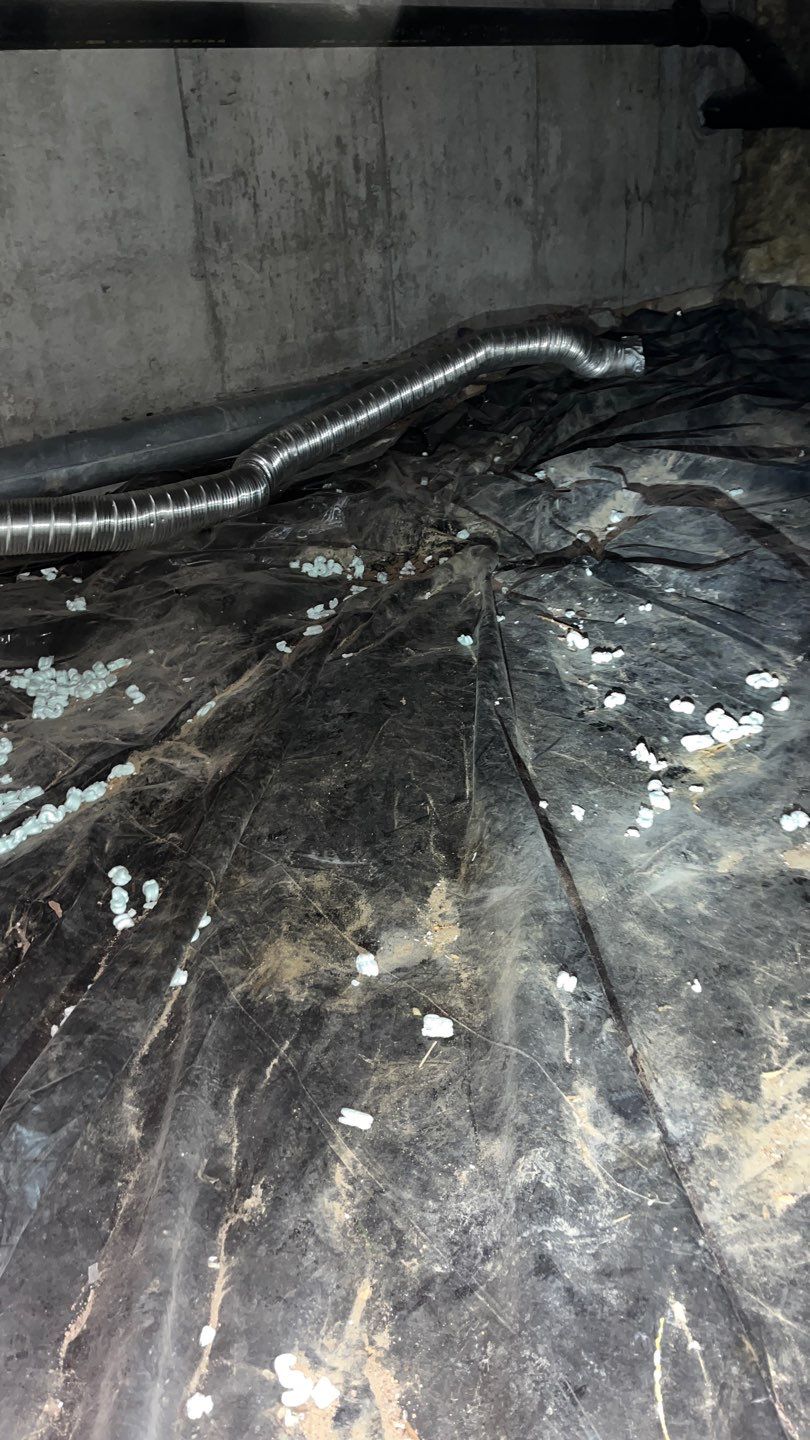 Mold Damage Project in Littleton by Accountable Home Services