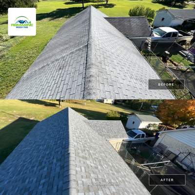 Silver Birch Shingles