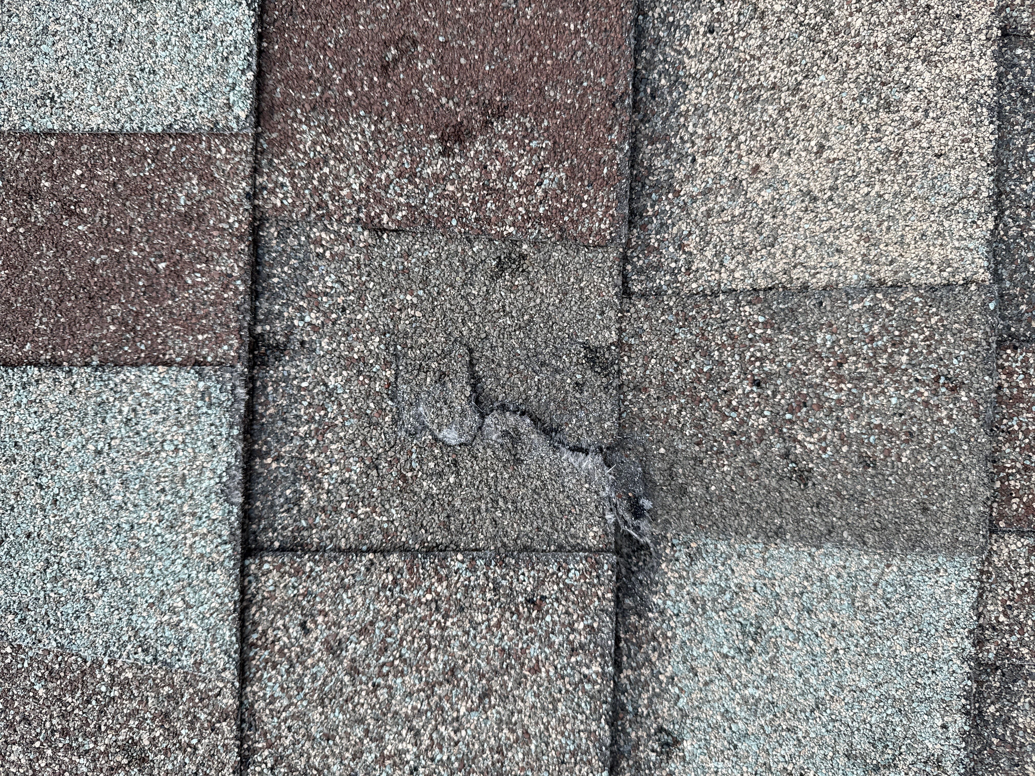 Architectural Shingle Roof and Gutter Installation in Rapid City by Weather-Tite Exteriors LLC