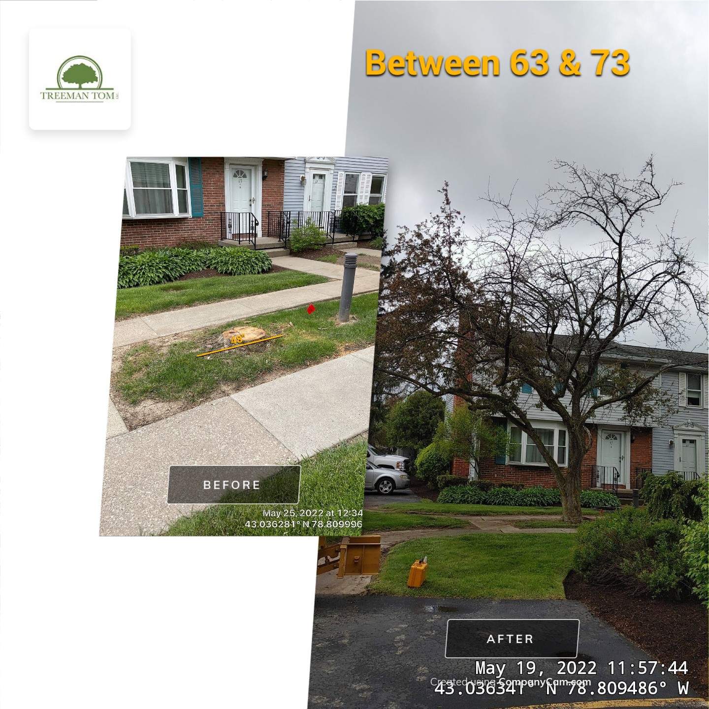 Commercial Project by Treeman Tom LLC