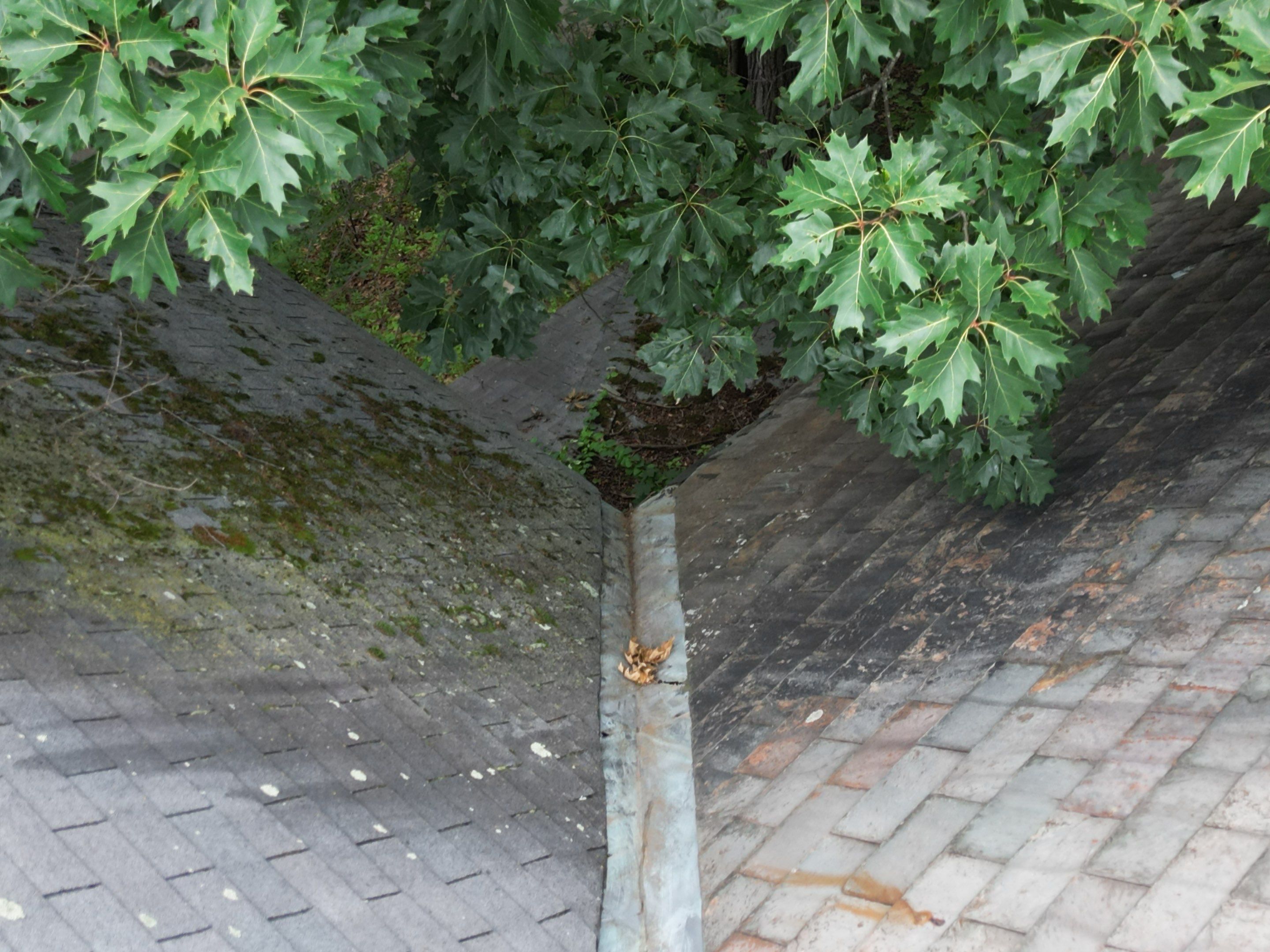 Roof Replacement and Chimney Repair in Fitchburg, MA by Mighty Dog Roofing of Greater Middlesex County