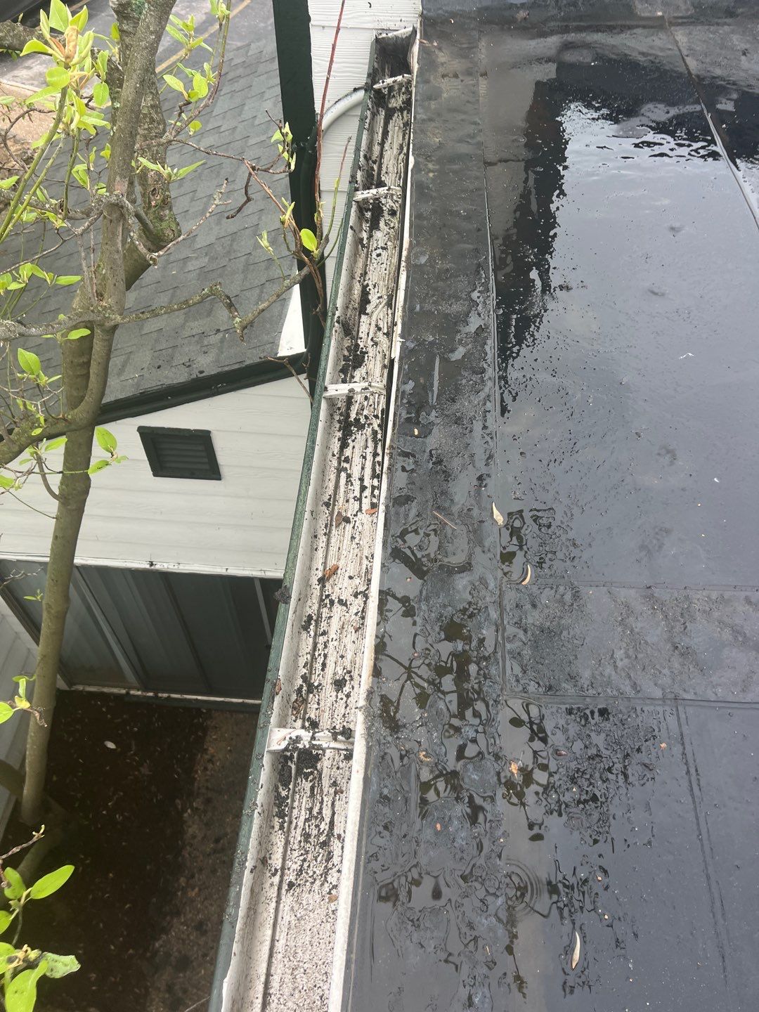 Commercial gutter cleaning Lexington after photo with clean gutters