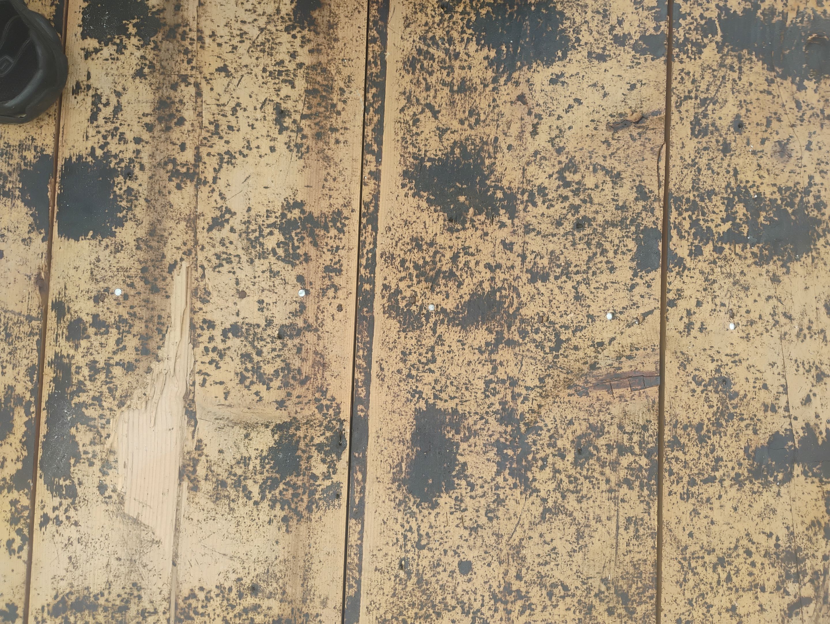 Project in Seminole 33776 by Mitchell Roofing Company LLC