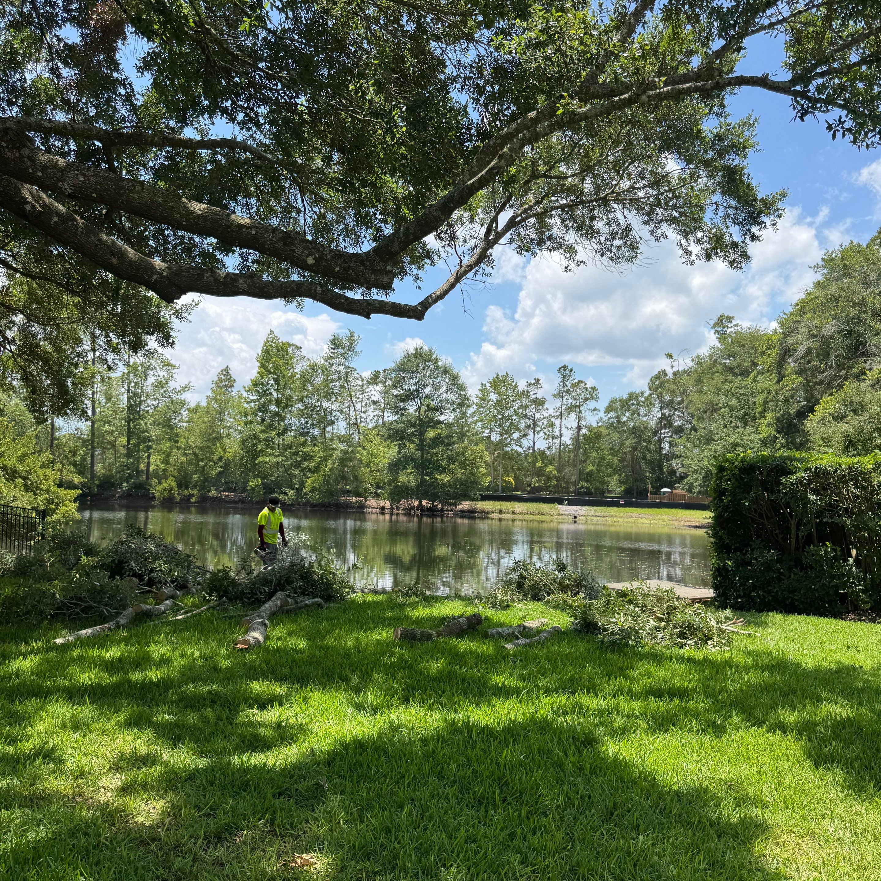 Deerwood Resident | Plant Install & Tree Work by ProGreen Services