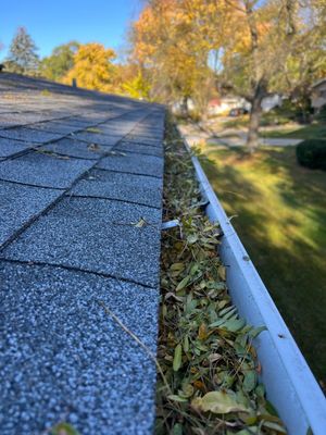Gutter Protection for Lisle Homes