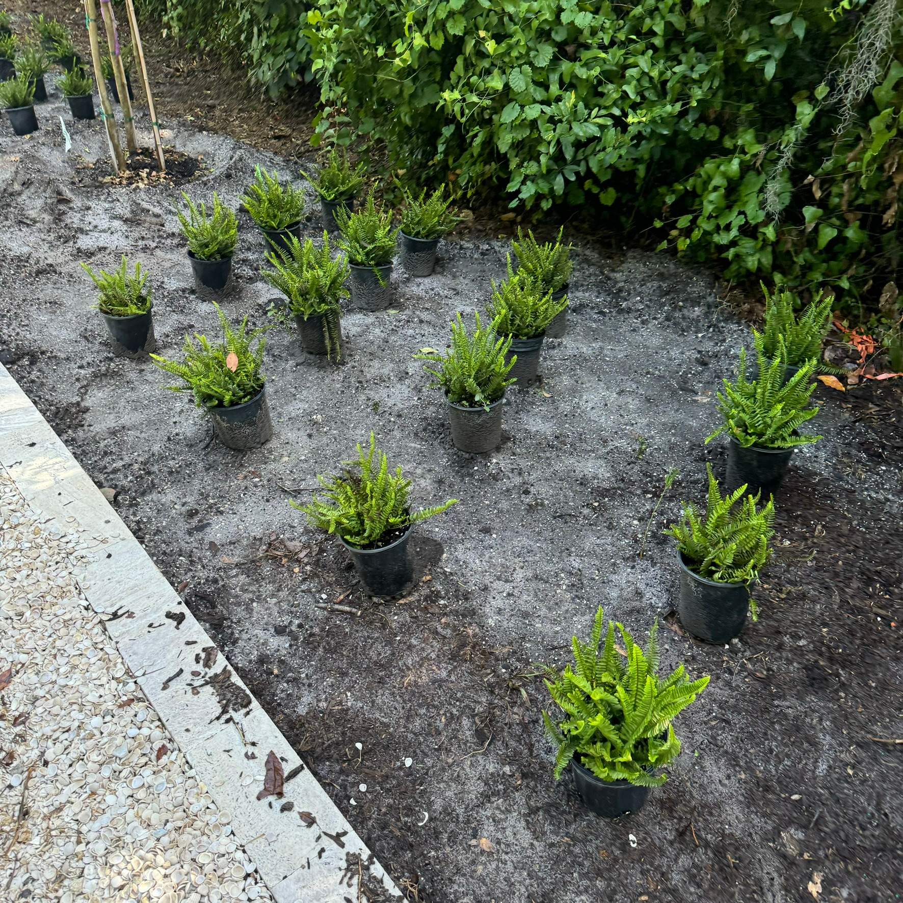 Landscape Install | Residence by ProGreen Services