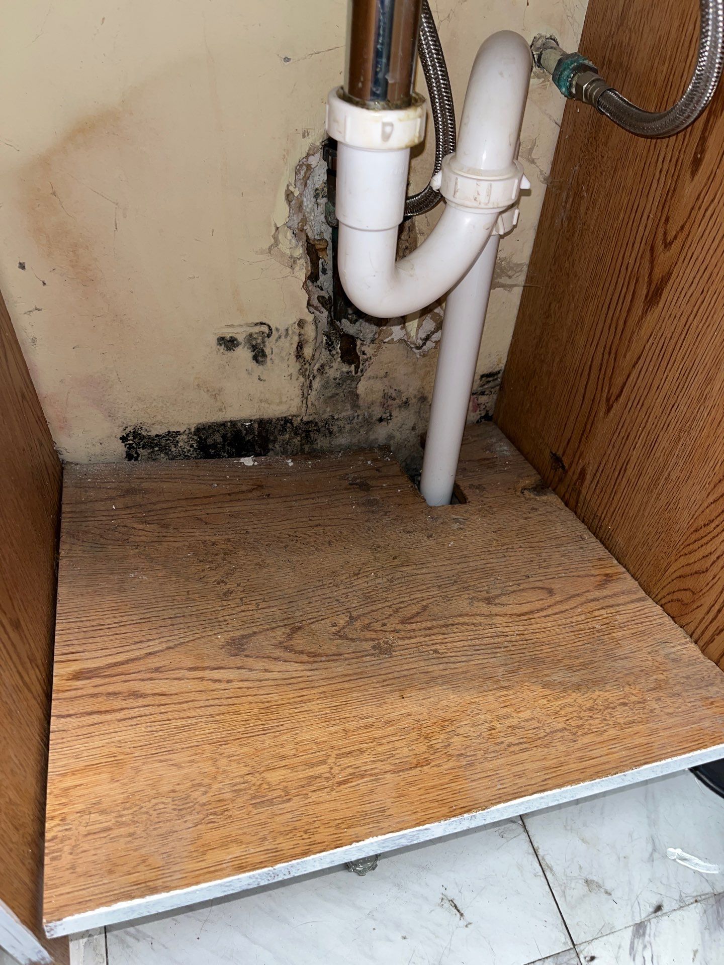 Pittsburgh Attic Insulation Upgrade and Comprehensive Mold Remediation by Home Environment Solutions