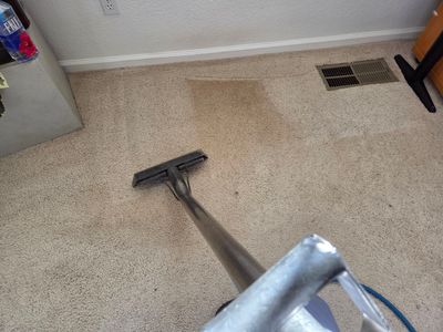Professional Carpet Cleaning and Soil Extraction in Elk Grove