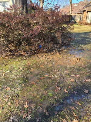 Water Leak Detection