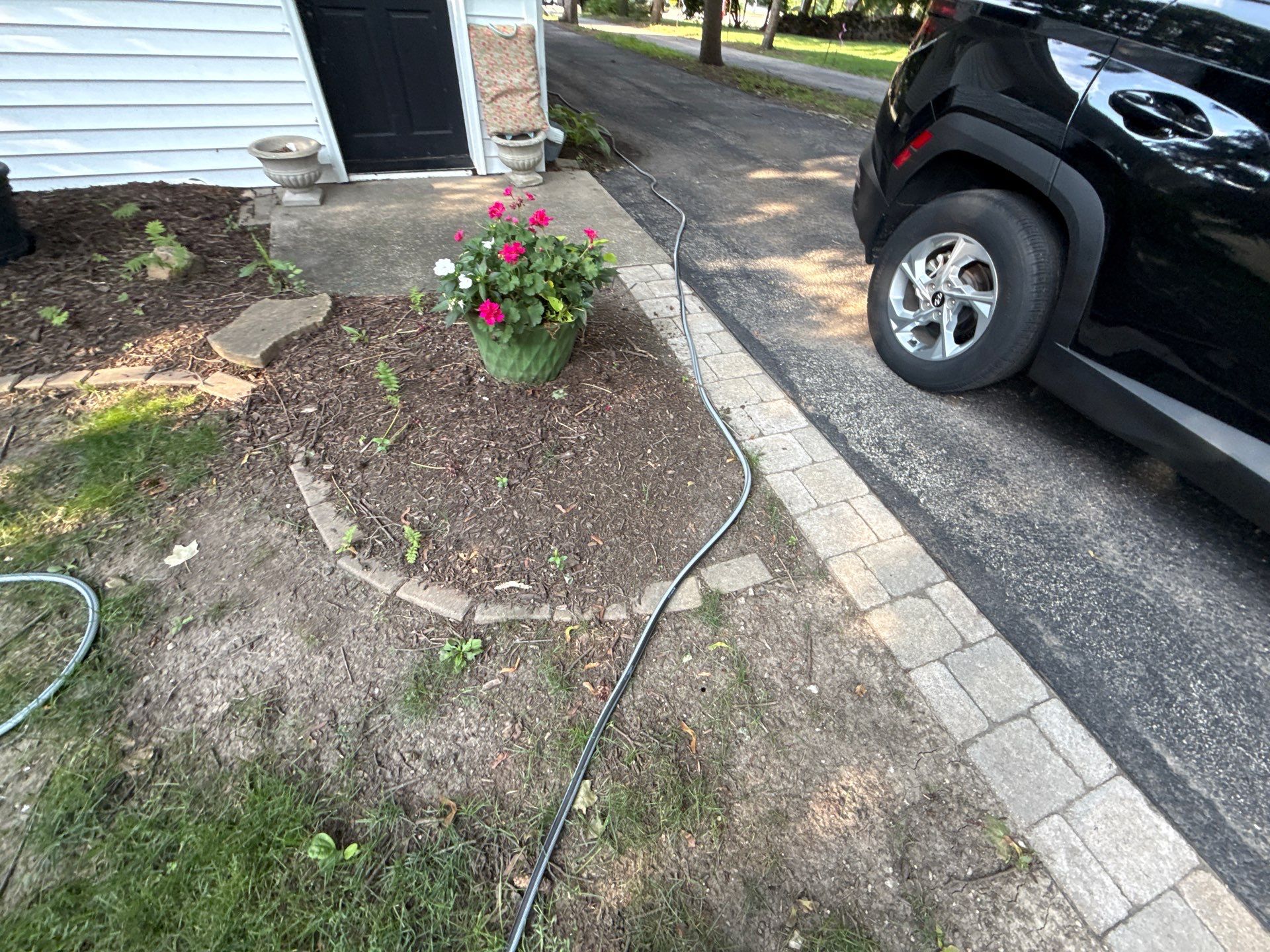 Lisa A. - Arlington Heights, IL by A&N