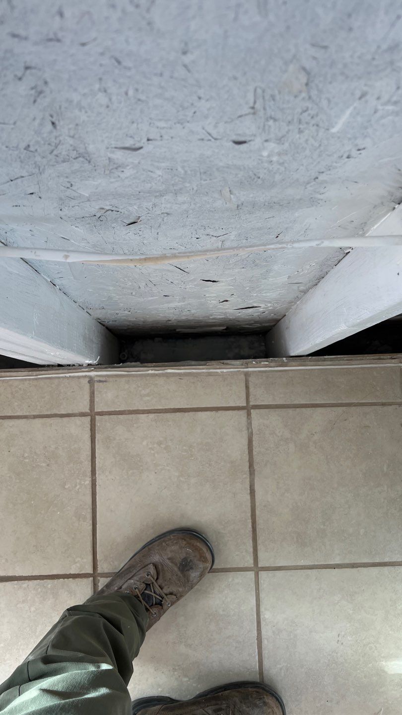 Mold Remediation  by Accountable Home Services