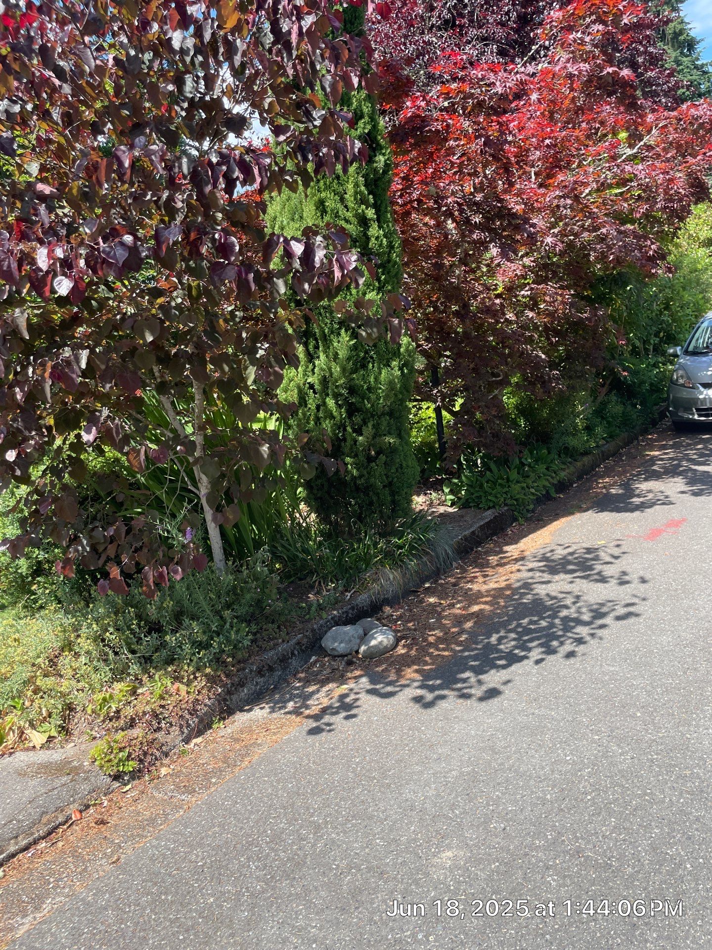 Pavers Driveway & Walkway with Concrete Lip | Seattle  by Jireh Asphalt & Concrete Inc 
