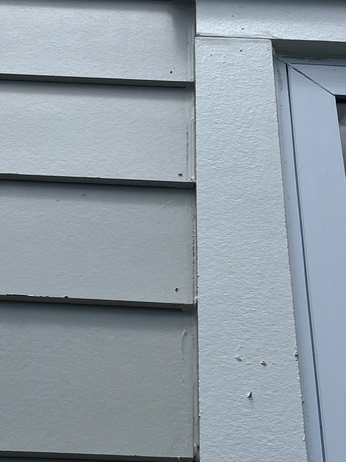 Project in St. Petersburg by Bayshore Exteriors