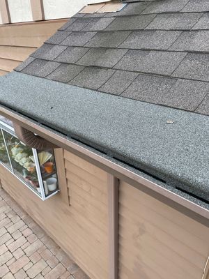 Turtle Shell gutter protection installation in Naperville, IL 60565, photograph 38