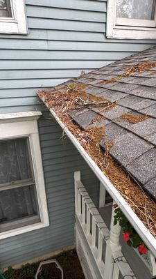 Turtle Shell gutter protection installation in Naperville, IL 60563, photograph 6