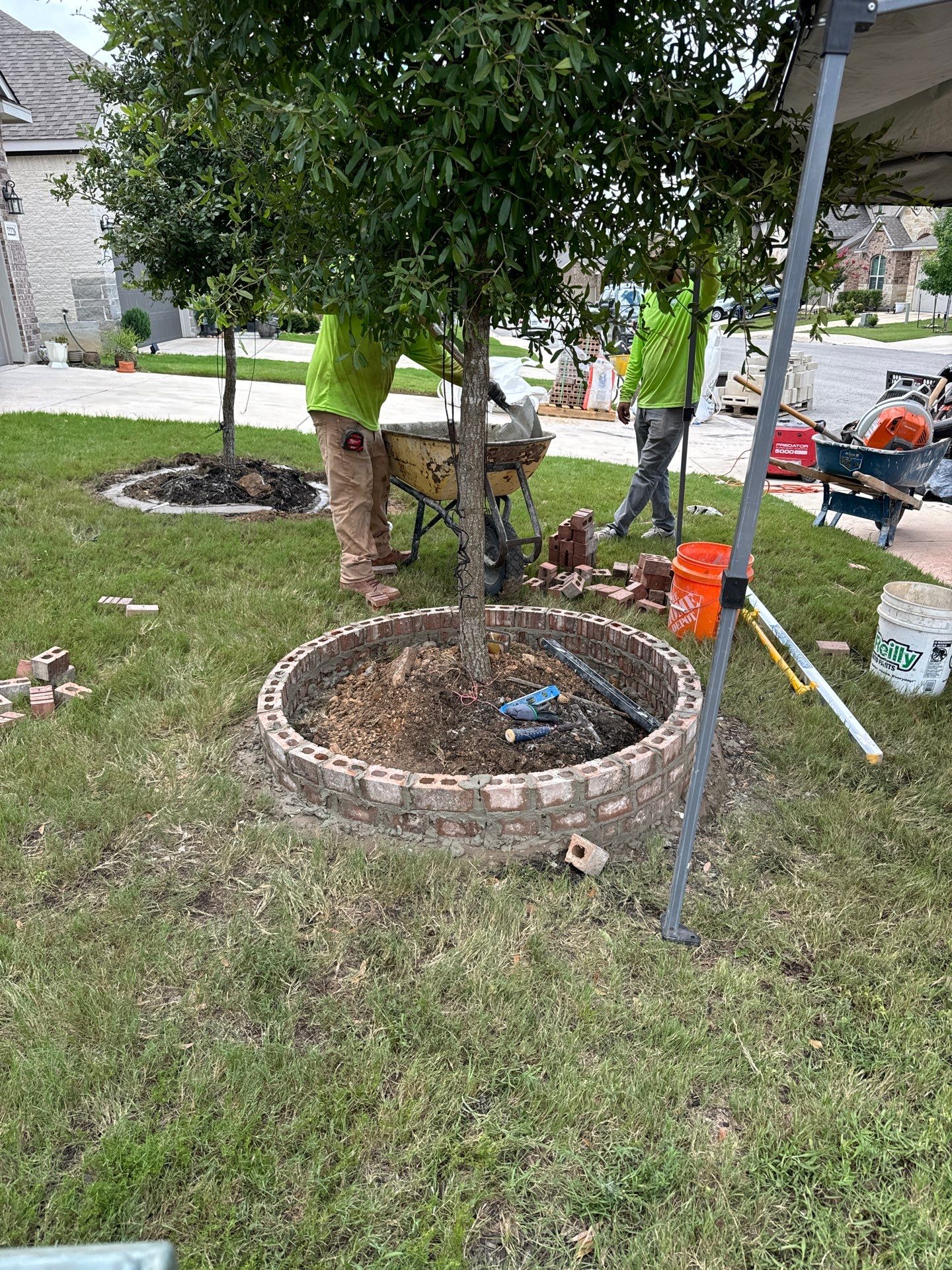 Wortham Oaks - San Antonio, TX by Hole In One Lawns, LLC