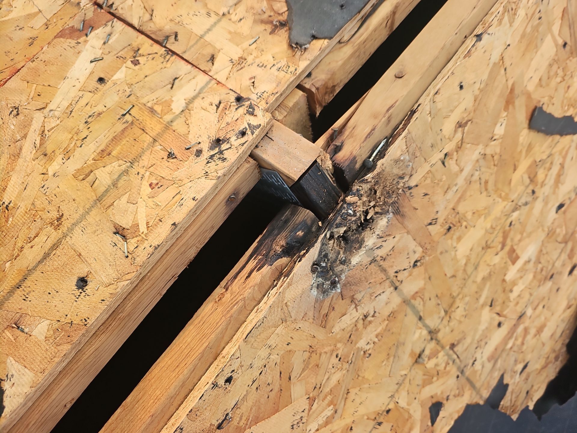 Roof Replacement - Charcoal Black by Winchester Roofing