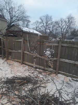 Storm Damaged Tree Removal  using Tree Removal