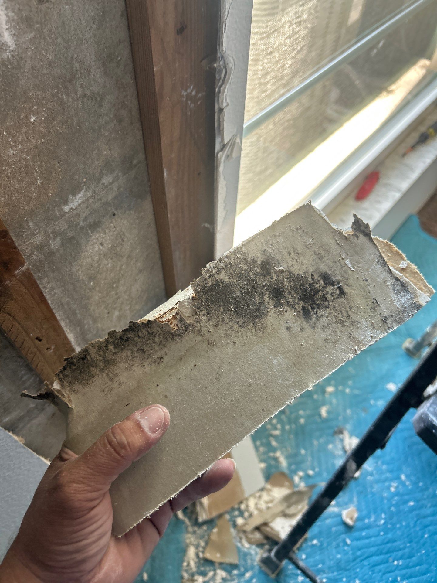 Commercial Water Damage Restoration by Ampm Restoration Services