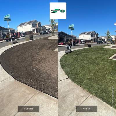 Project in Dixon