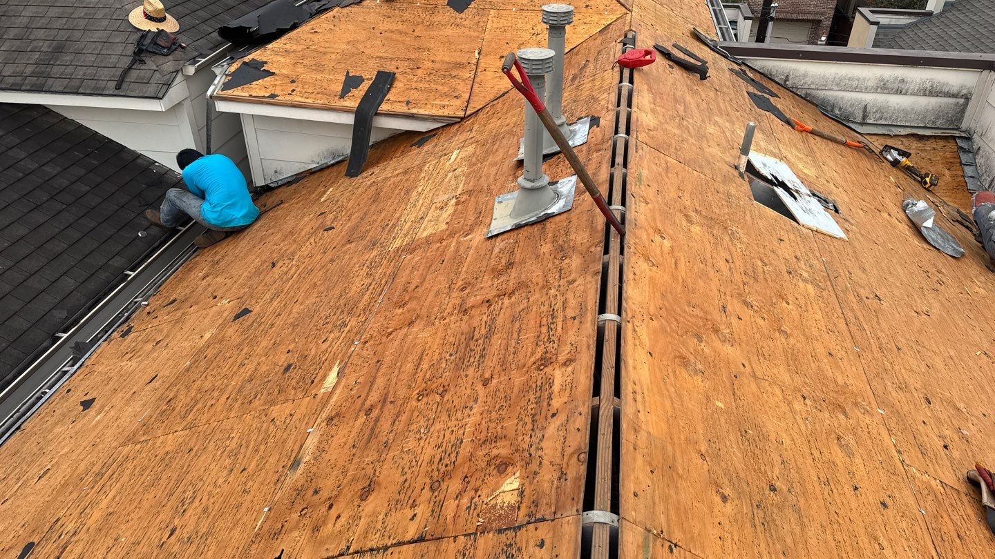 Rebekah T by Boss Hogg Roofing