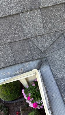 Turtle Shell gutter protection installation in Naperville, IL 60564, photograph 2