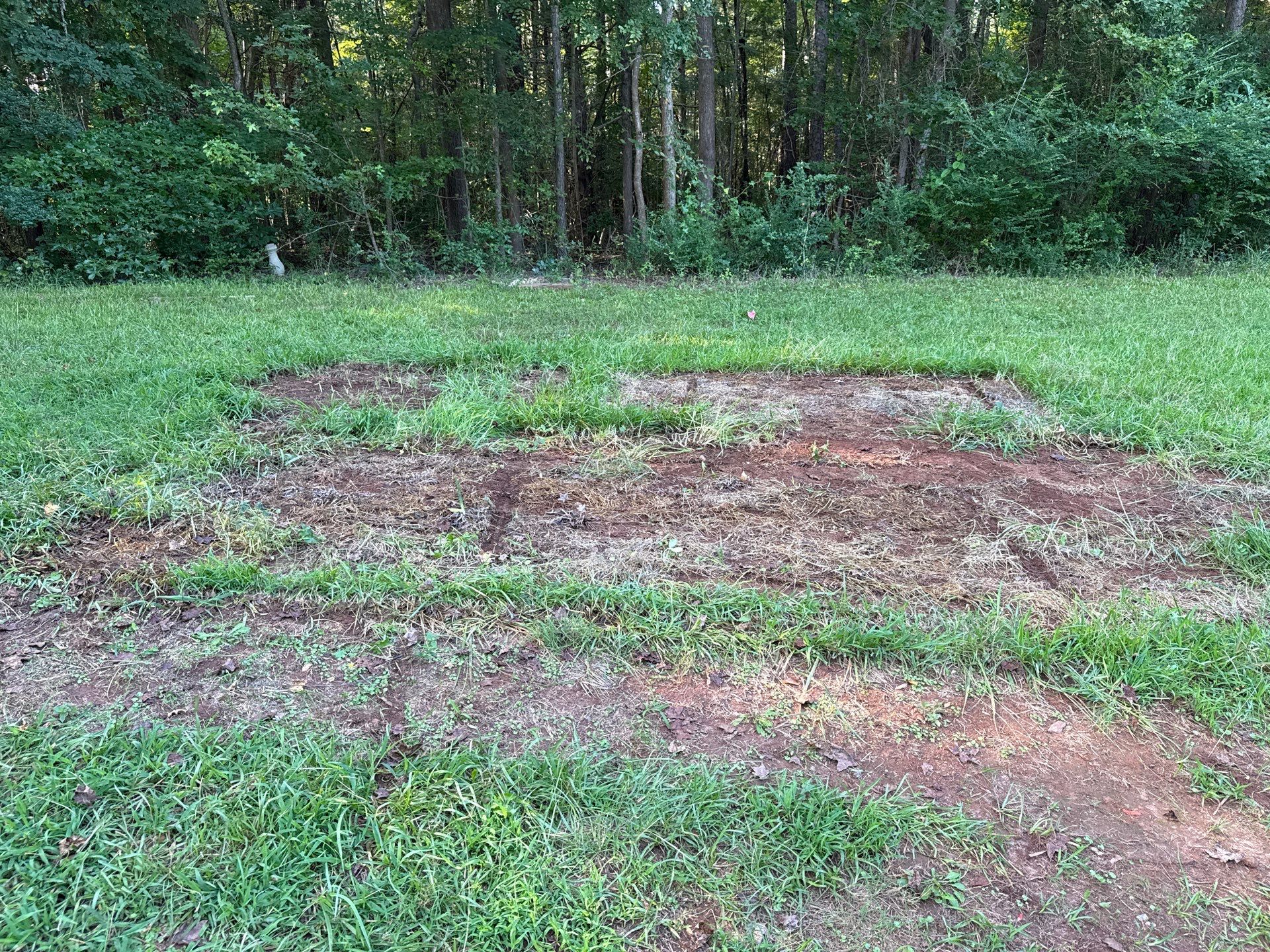 Project in Rock Hill by Badger Hauling