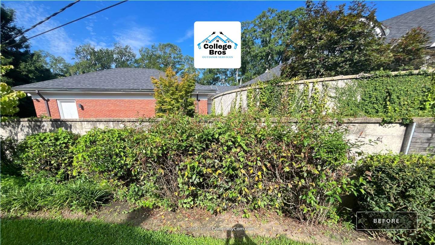 Landscaping Monroe La  by College Bros Outdoor services