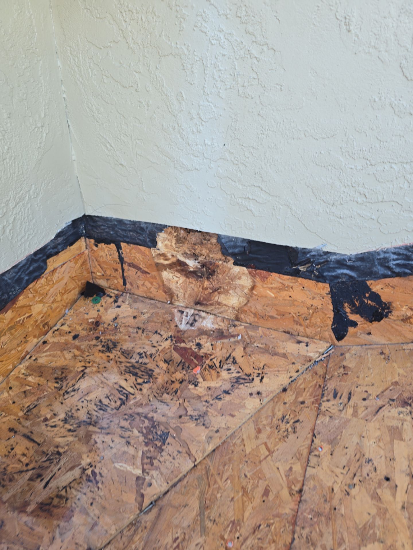 Roof Replacement in Tampa, FL by Shingle Masters Roofing