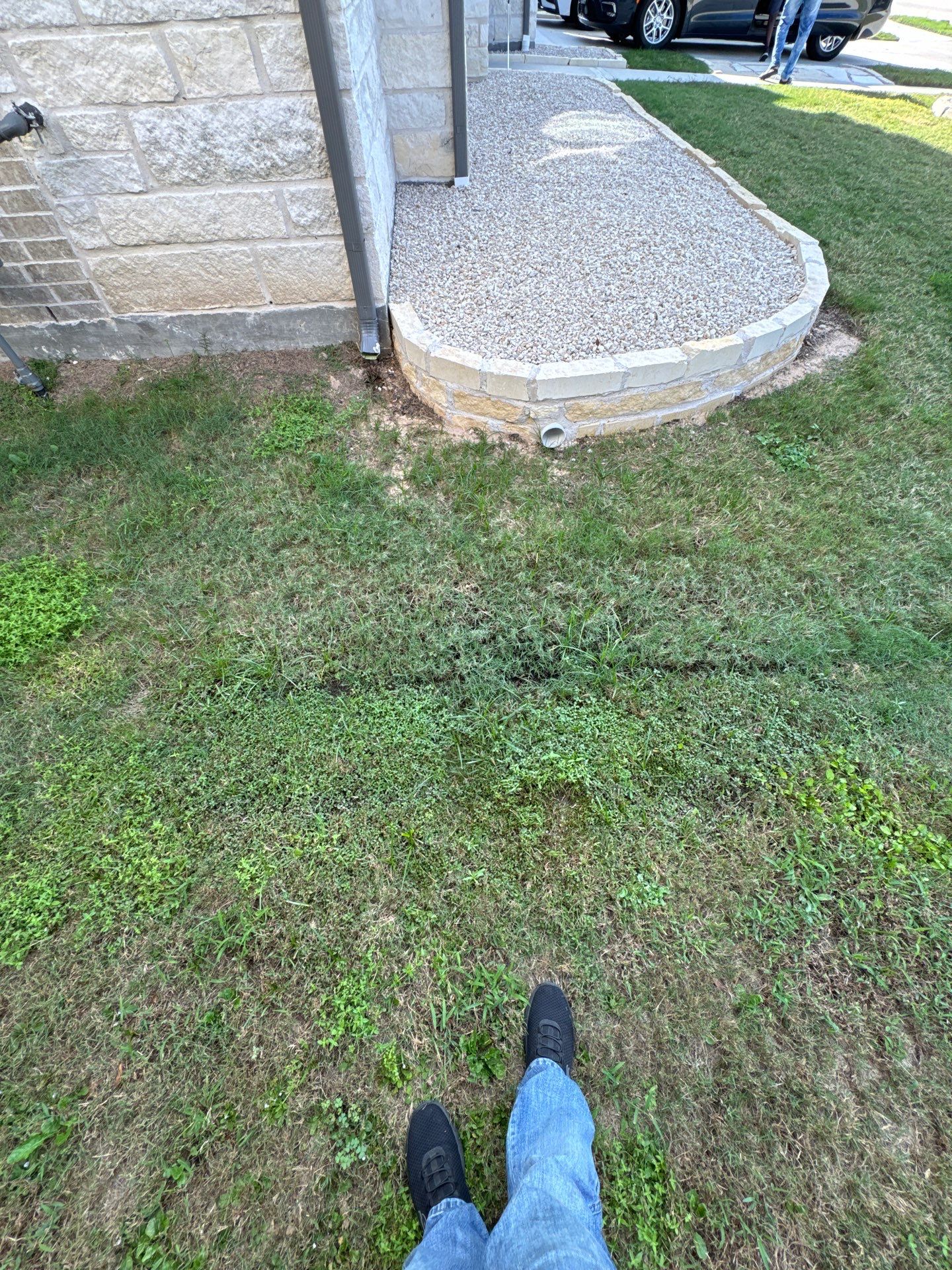 🌿✨ Yard of the Month – Curb Appeal with Drainage, Irrigation & Walk Path by Texas Urban Elements