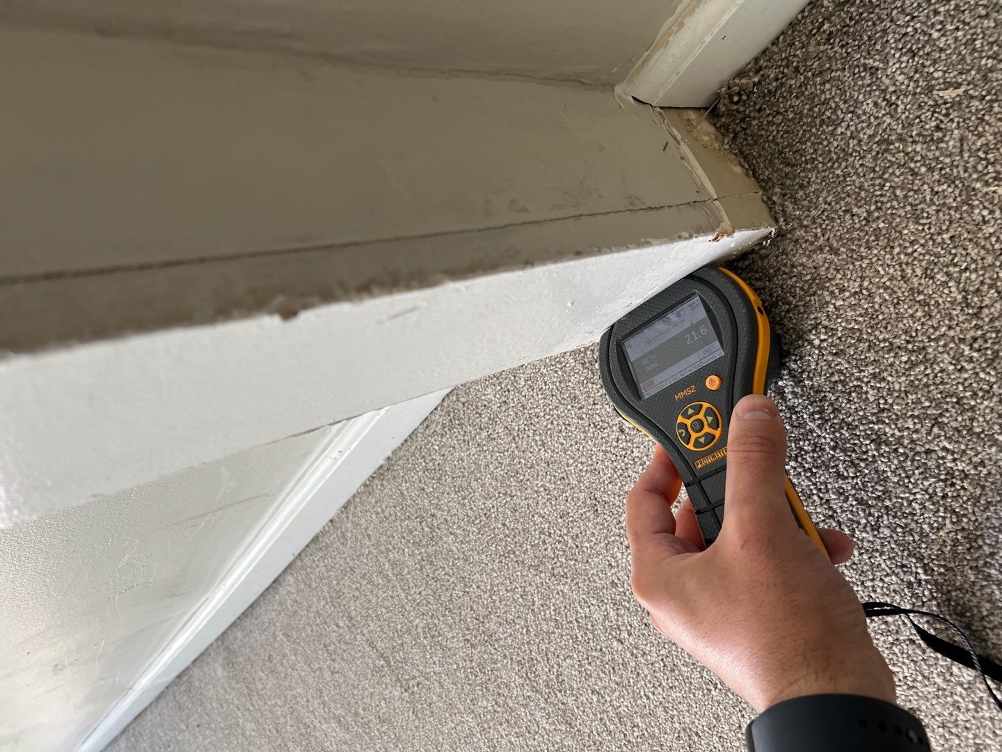 Project in Novi by EzDry Water Mitigation & Property Restoration