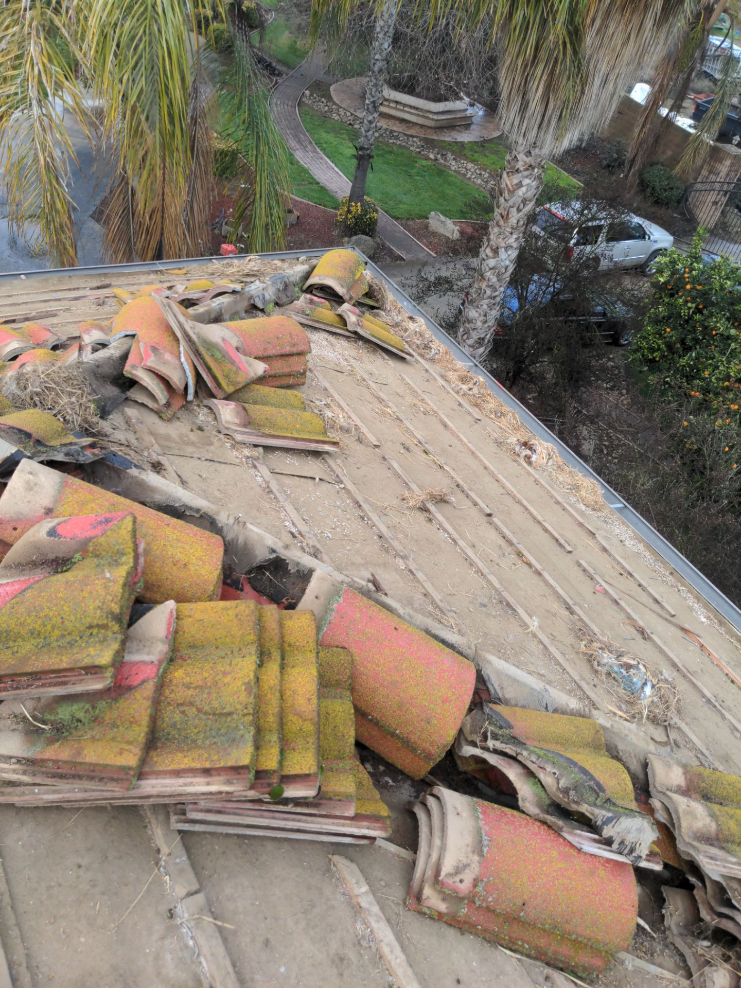 Tile refurbish project using existing tiles and replaced underlayment and battens by Straight Edge Roofing Inc