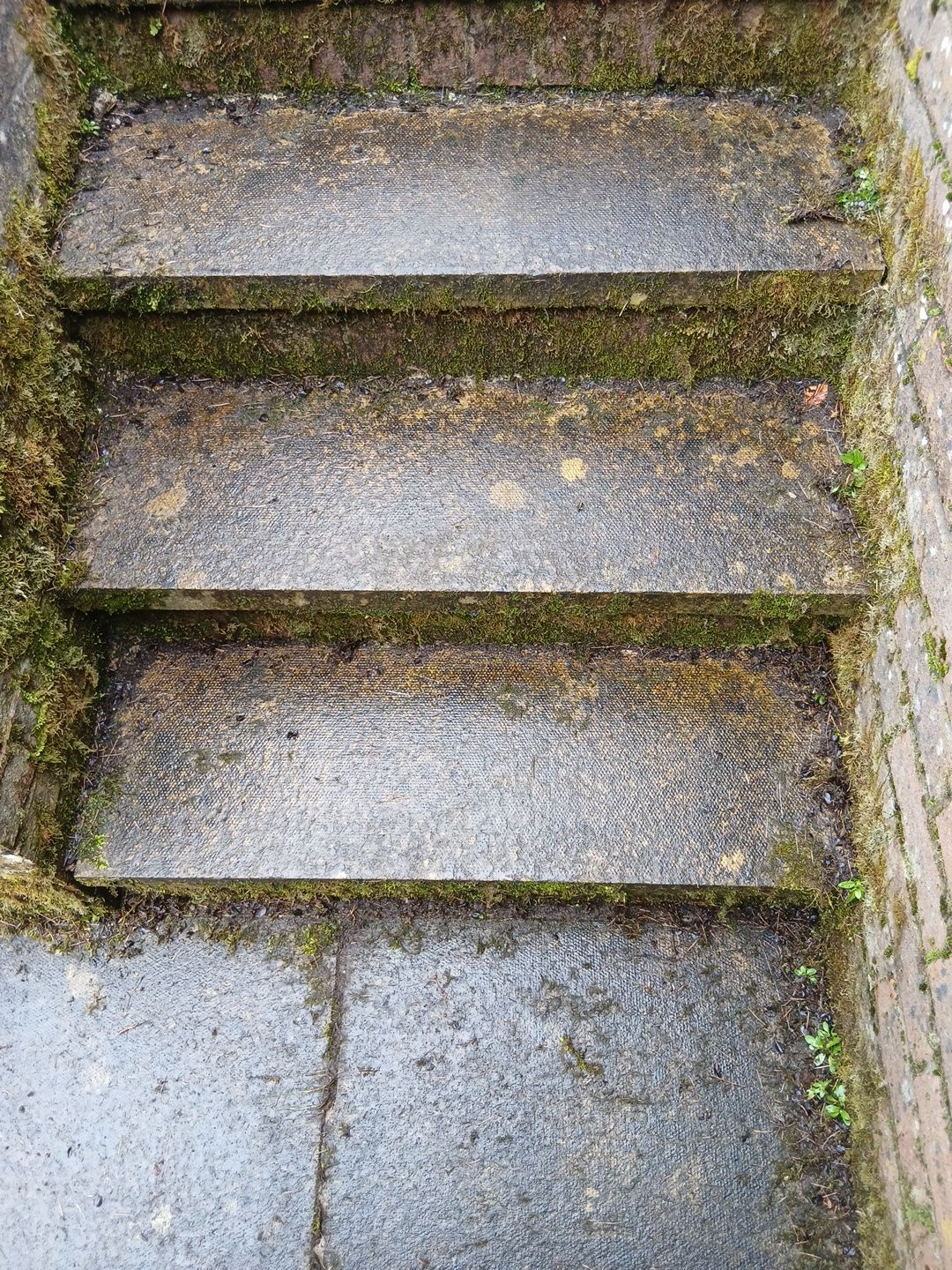 Pressure & softwash in Balerno by EZXCo Ltd