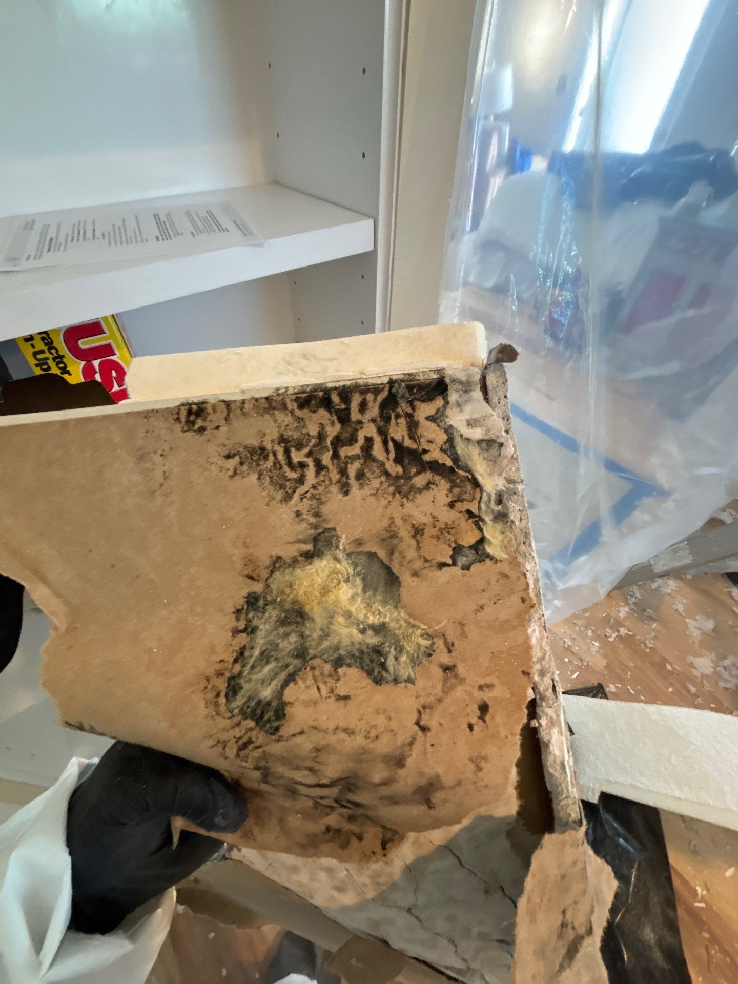 Water Damage Restoration & Repair In Anna Maria, FL by Ampm Restoration Services