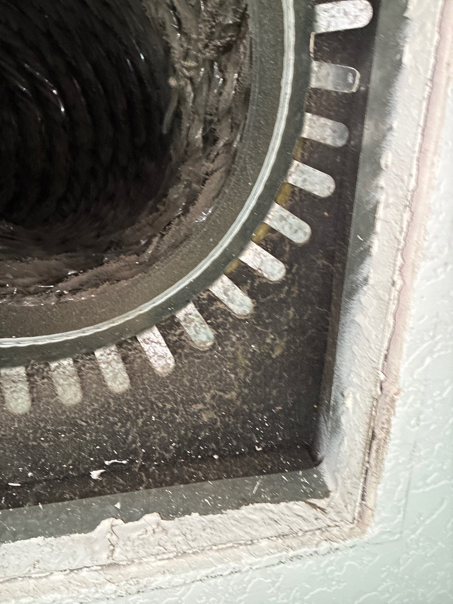 Air Duct Cleaning in Groveland by Hygienic Air, Inc