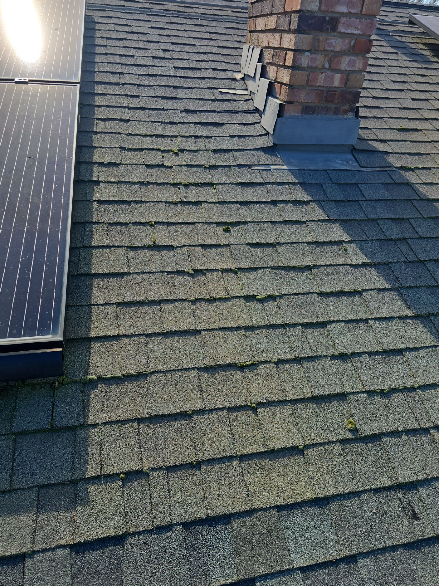 Roof Rejuvenation using Roof Maxx Treatment by Roof Maxx of Folsom
