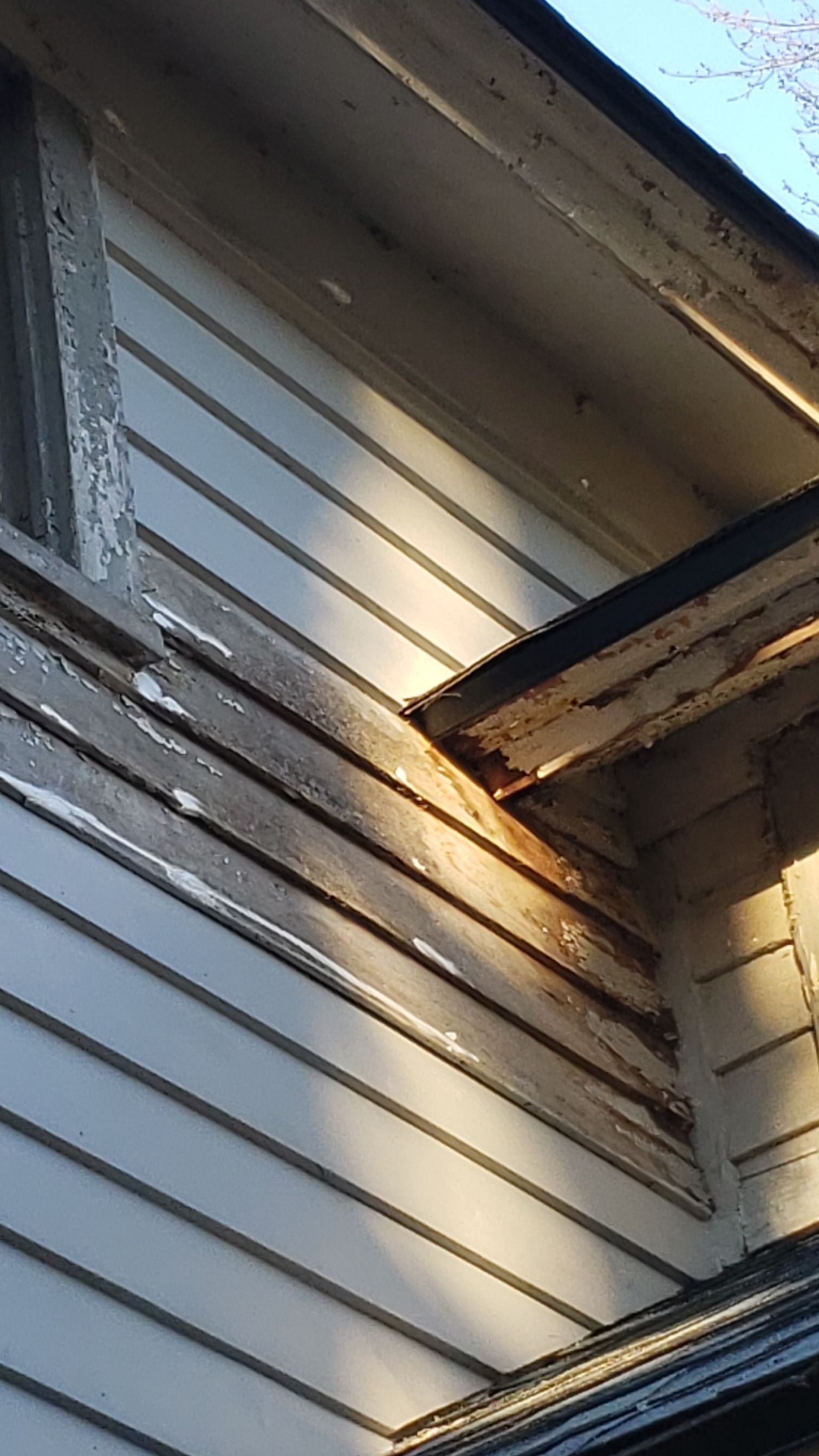 ATLAS PINNACLE COLOR: PRISTINE SCOTCHGARD HEARTHSTONE DRIP EDGE: BLACK by Eagle Eye Roofing