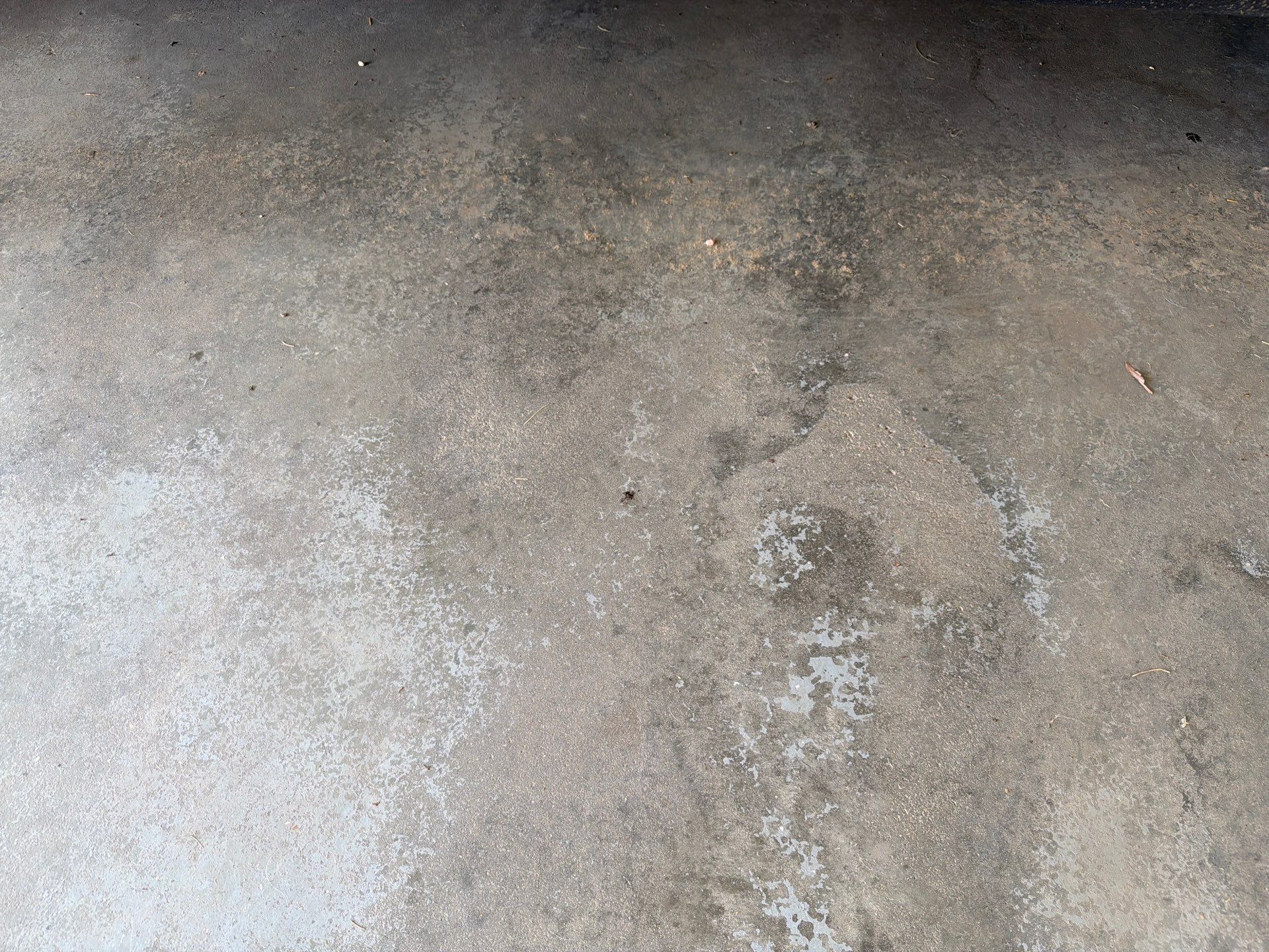 Feather Grey Garage Floor Coating Installation in Valley Springs by Select Painting, Coatings & Garage Cabinets