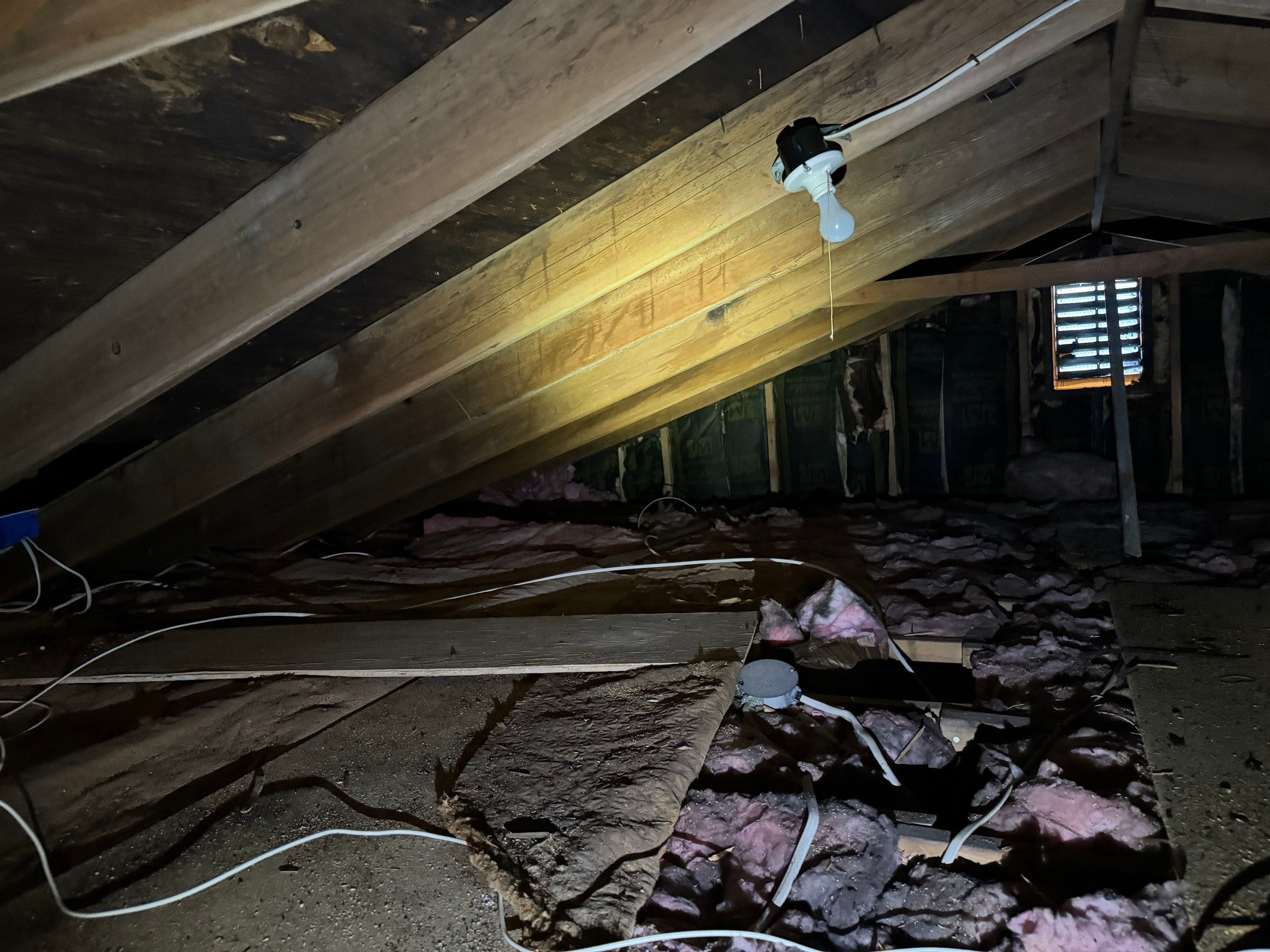 Attic Mold Remediation by Home Guarantee, LLC