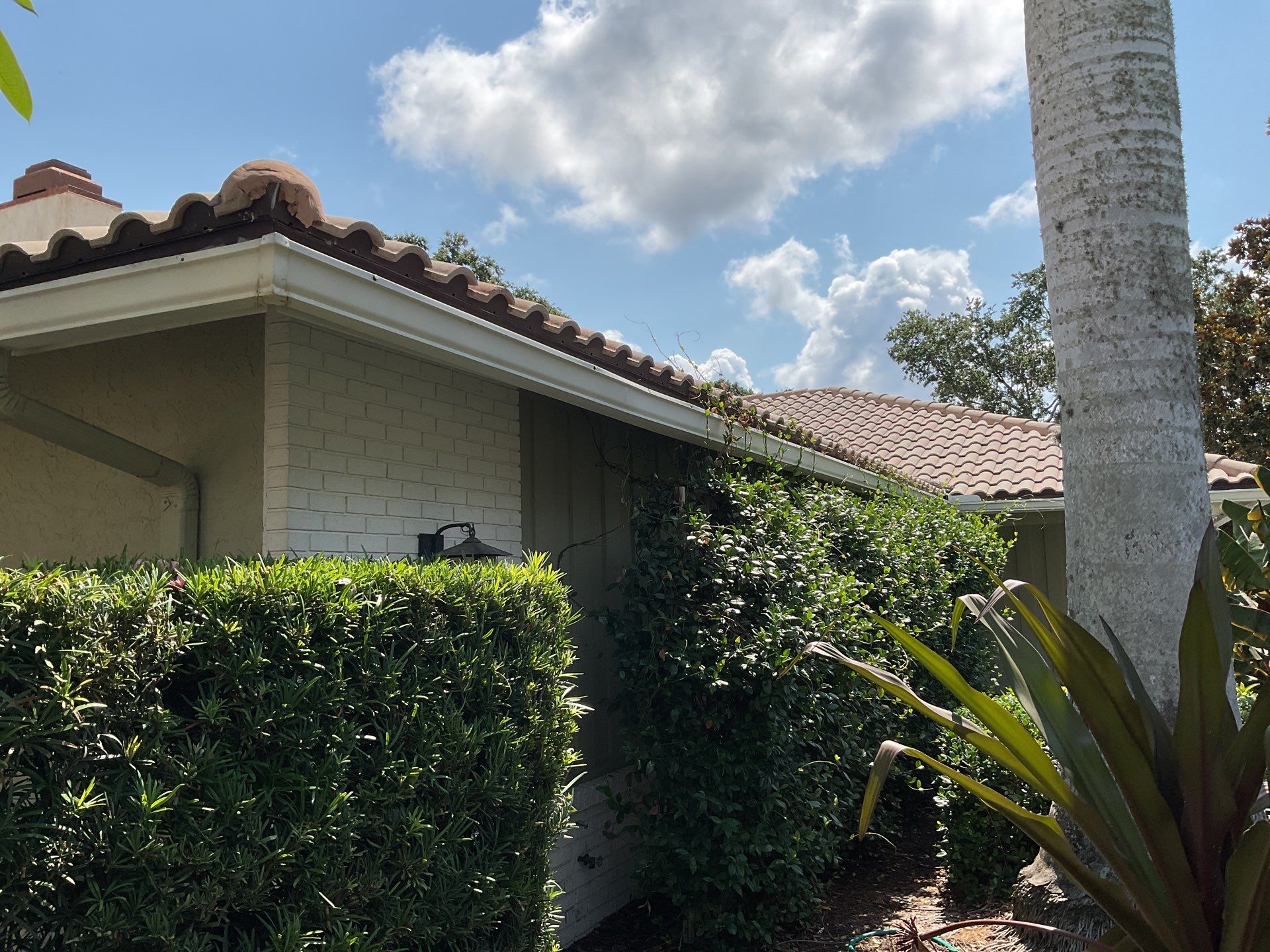 White Gutter Installation in Sarasota FL by Gutter Professors