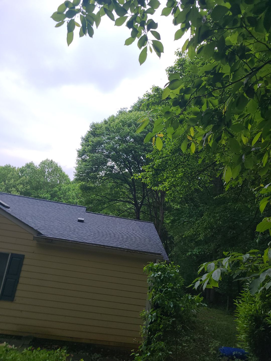 Oakton: Roof Replacement With CertainTeed Landmark Designer Shingles in Pewter by RM Banning, Inc.