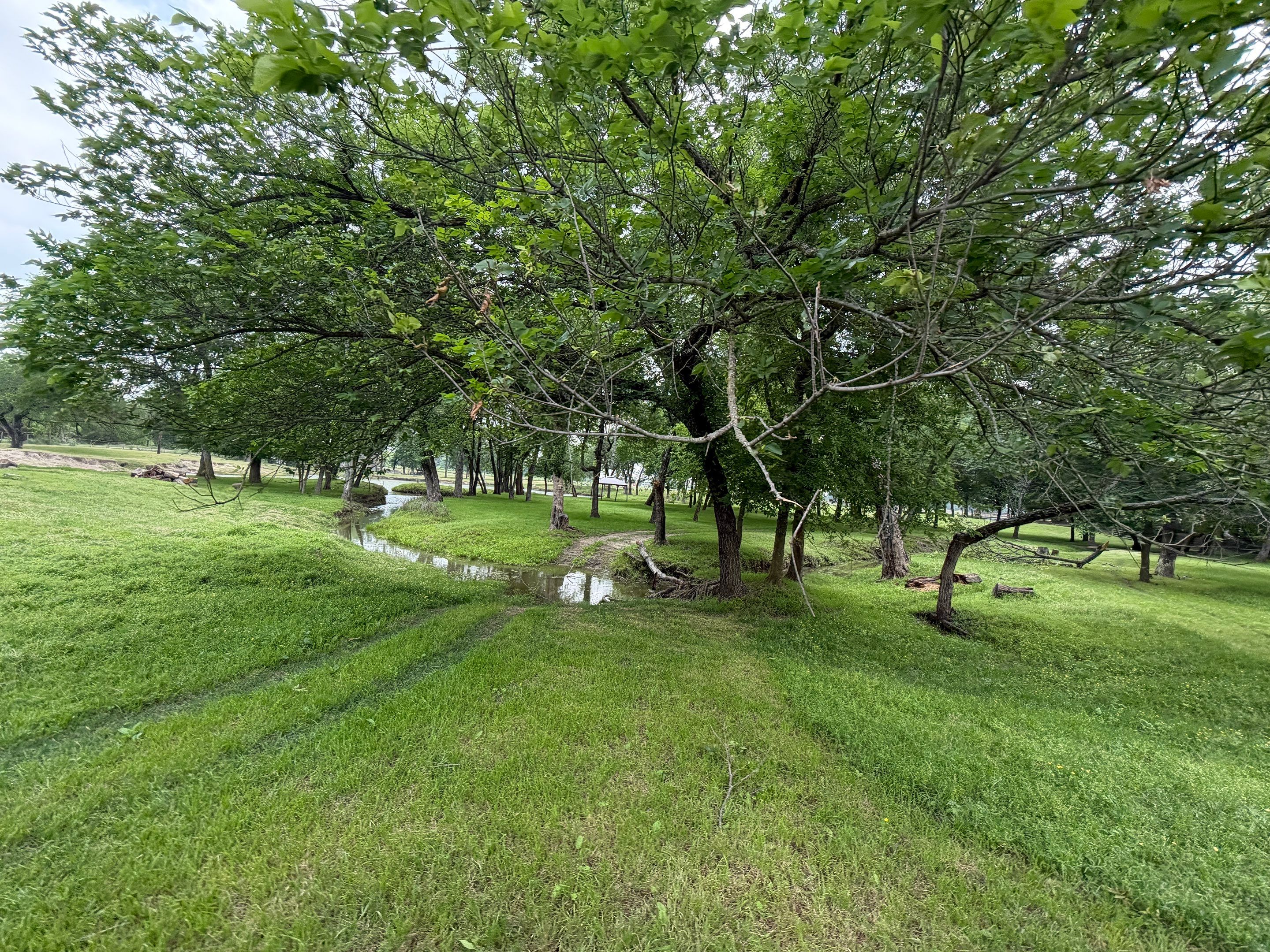 Project in Terrell, TX by Rockwall Honey Bee Company