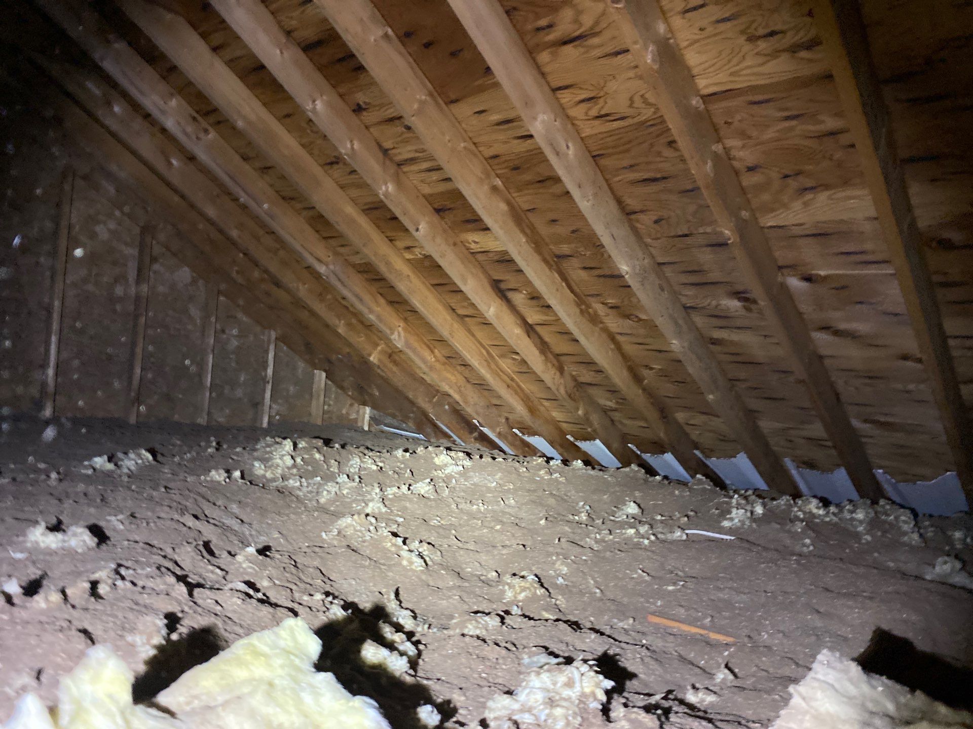 Roofing | Northborough by Mighty Dog Roofing of Greater Middlesex County