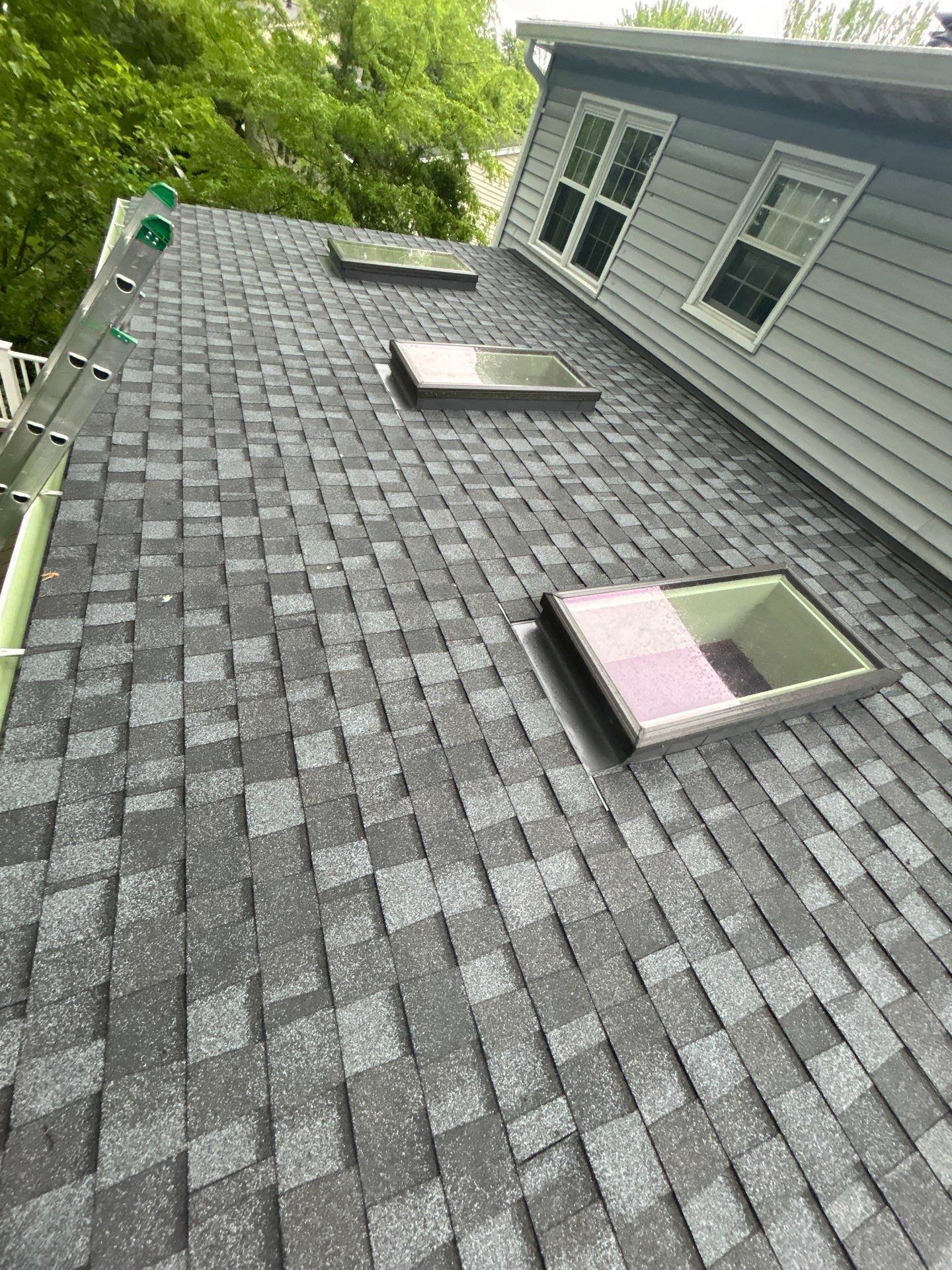 Alexandria: Residential Roof Replacement with CertainTeed Landmark Pro in Max Def Pewter by RM Banning, Inc.