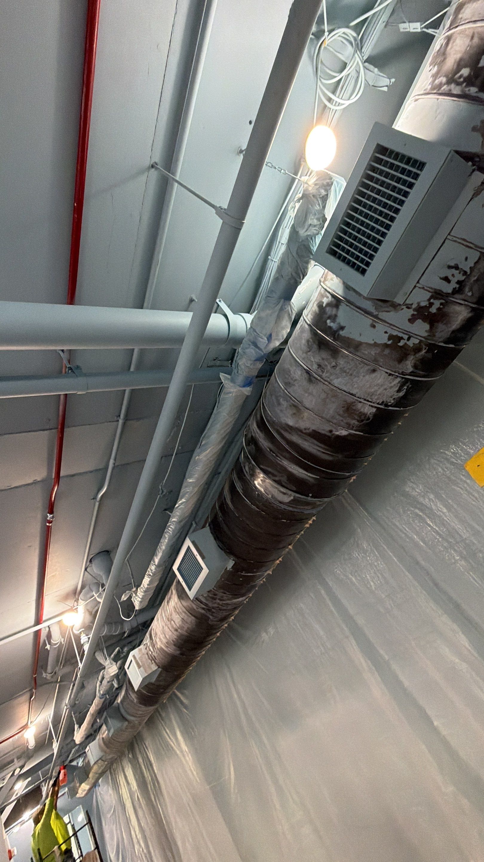 Maka Painters featured photo.