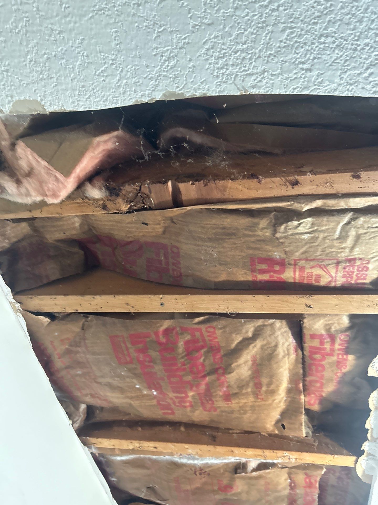 Commercial Water Damage Restoration In Bradenton by Ampm Restoration Services