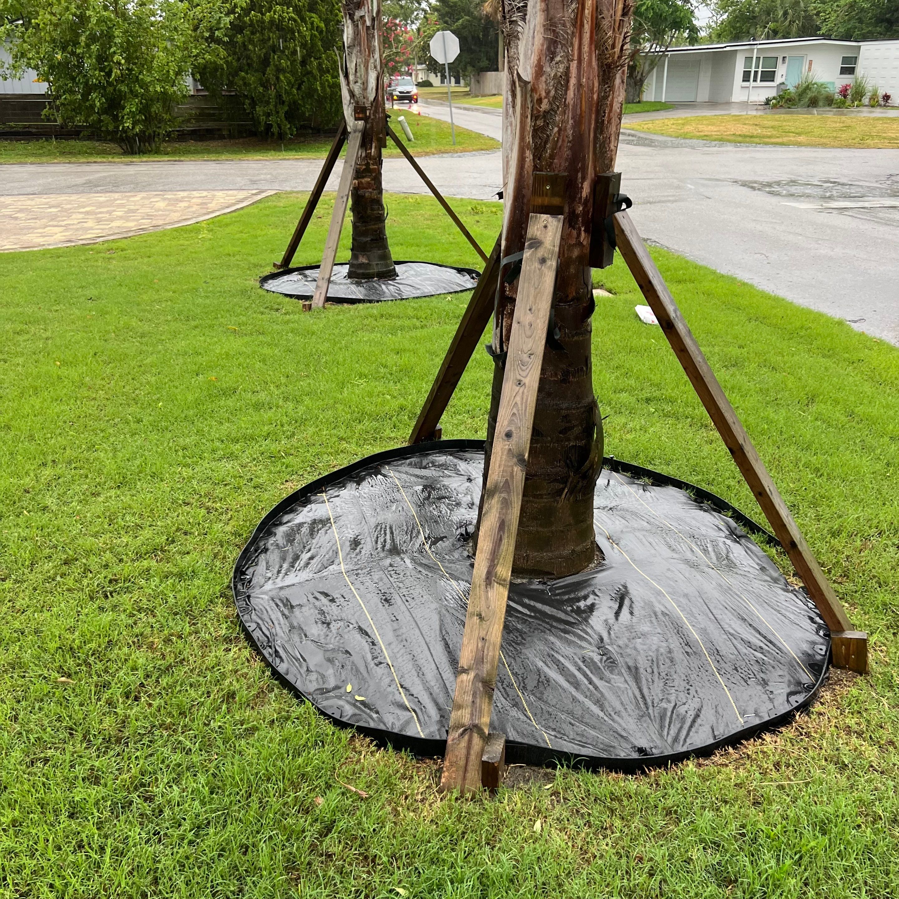 Rock & Agave Installation | Residential by ProGreen Services
